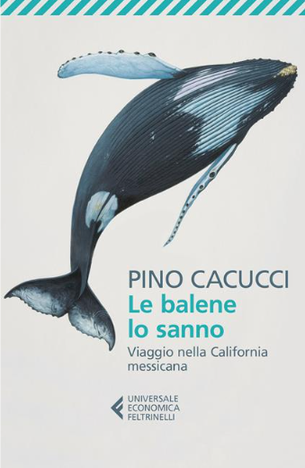 Le balene lo sanno